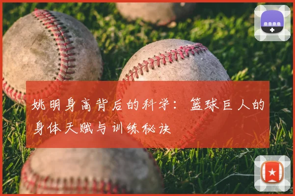 姚明身高背后的科学：篮球巨人的身体天赋与训练秘诀